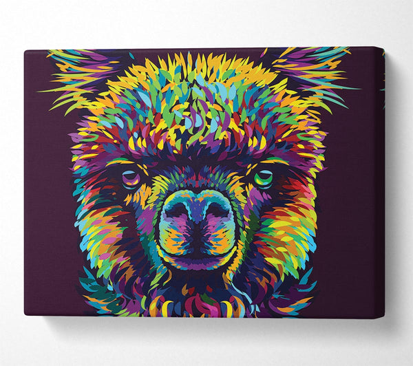  A Canvas Print of Alpaca In Colour Canvas Art