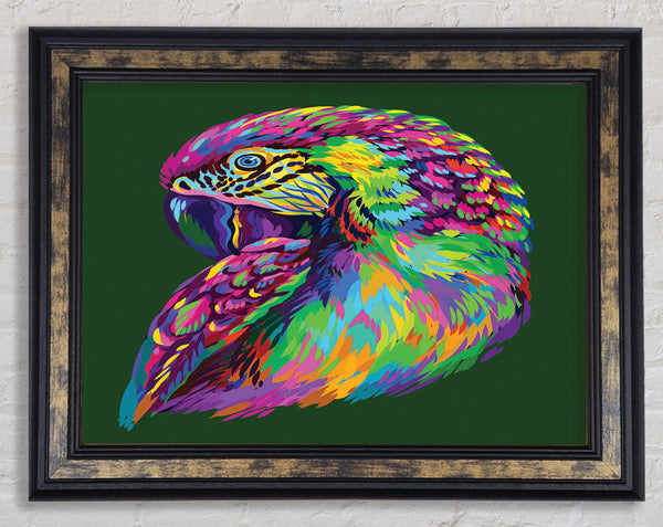 The Parrot On Green Framed Print