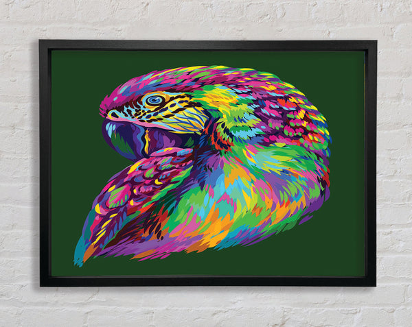 The Parrot On Green Framed Print