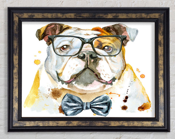 The Bulldog With Glasses Framed Print