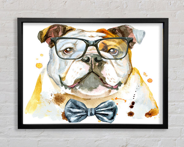 The Bulldog With Glasses Framed Print