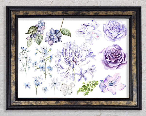 The Lilac Flower Collection Framed Print