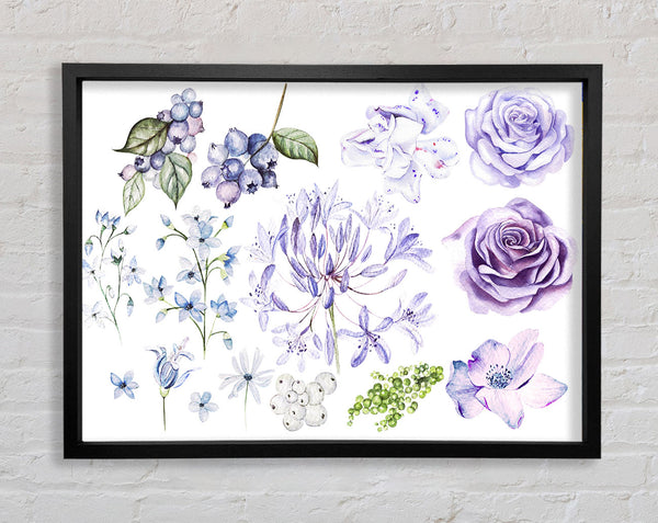 The Lilac Flower Collection Framed Print