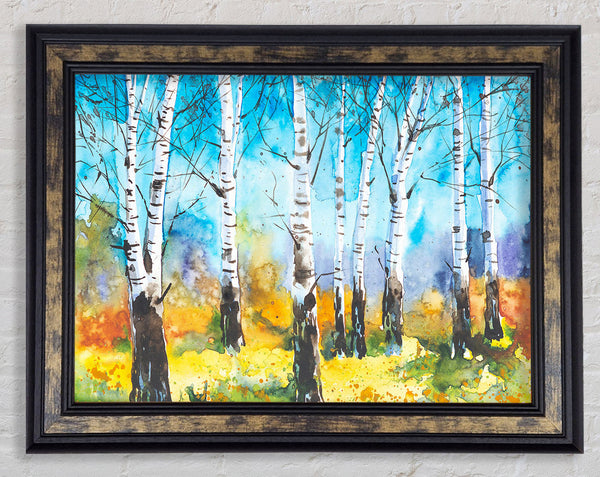 The Beautiful Birch Trees Framed Print