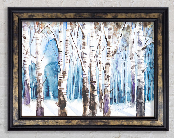 The Beautiful Birch Trees In The Snow Framed Print