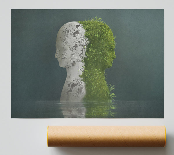 Stone And Plant Human Print