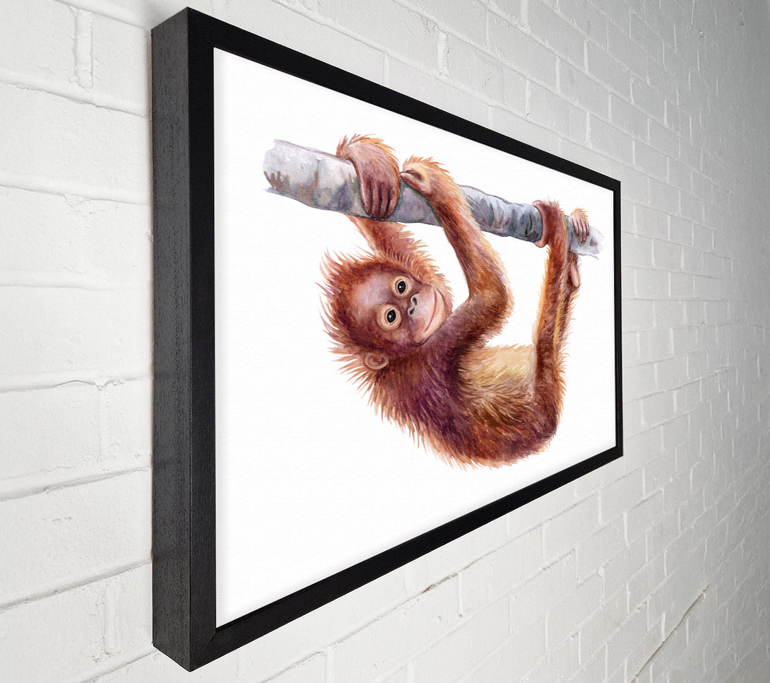  A Canvas Print of Hanging On A Branch Orangutan Canvas Art