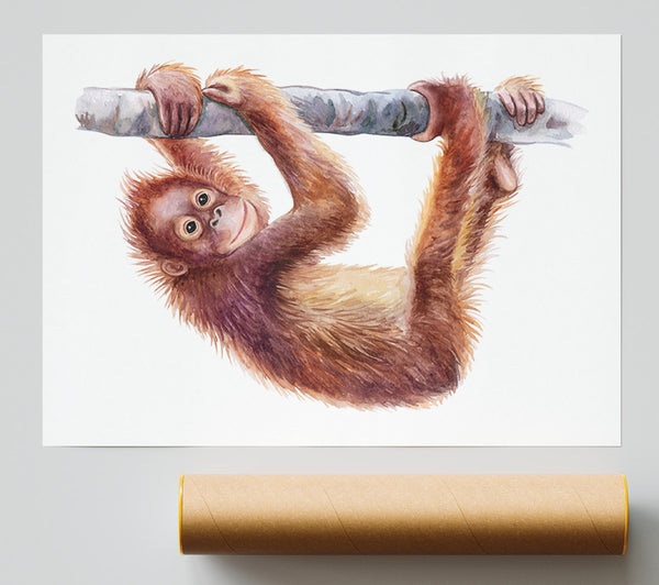 Hanging On A Branch Orangutan Poster