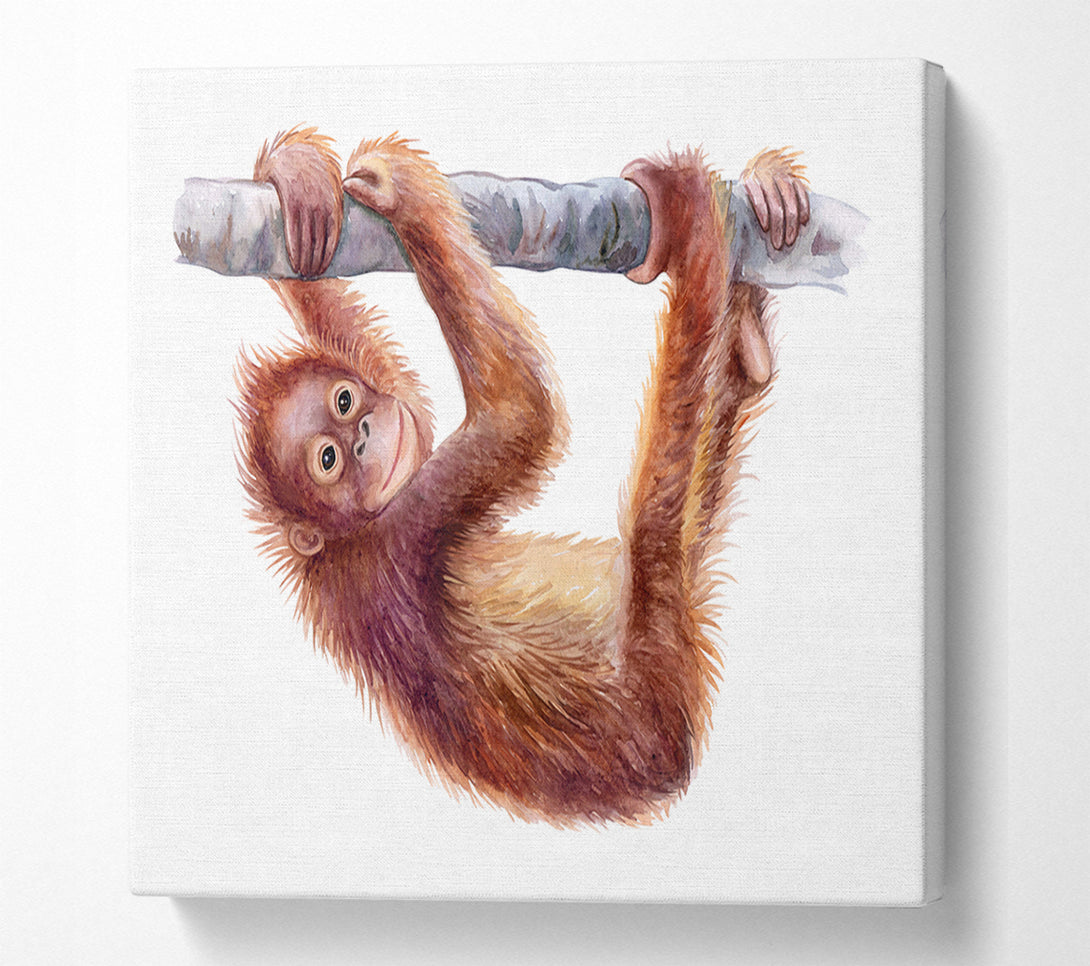 A Canvas Print of Hanging On A Branch Orangutan Canvas Art