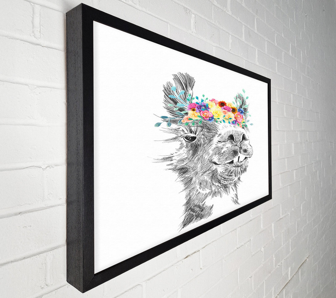  A Canvas Print of The Pretty Camel Canvas Art