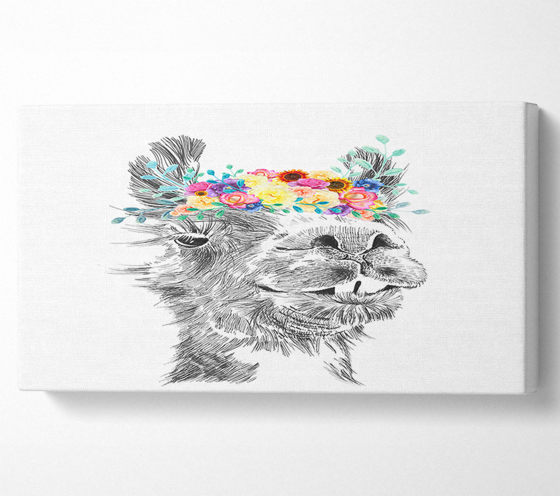  A Canvas Print of The Pretty Camel Canvas Art