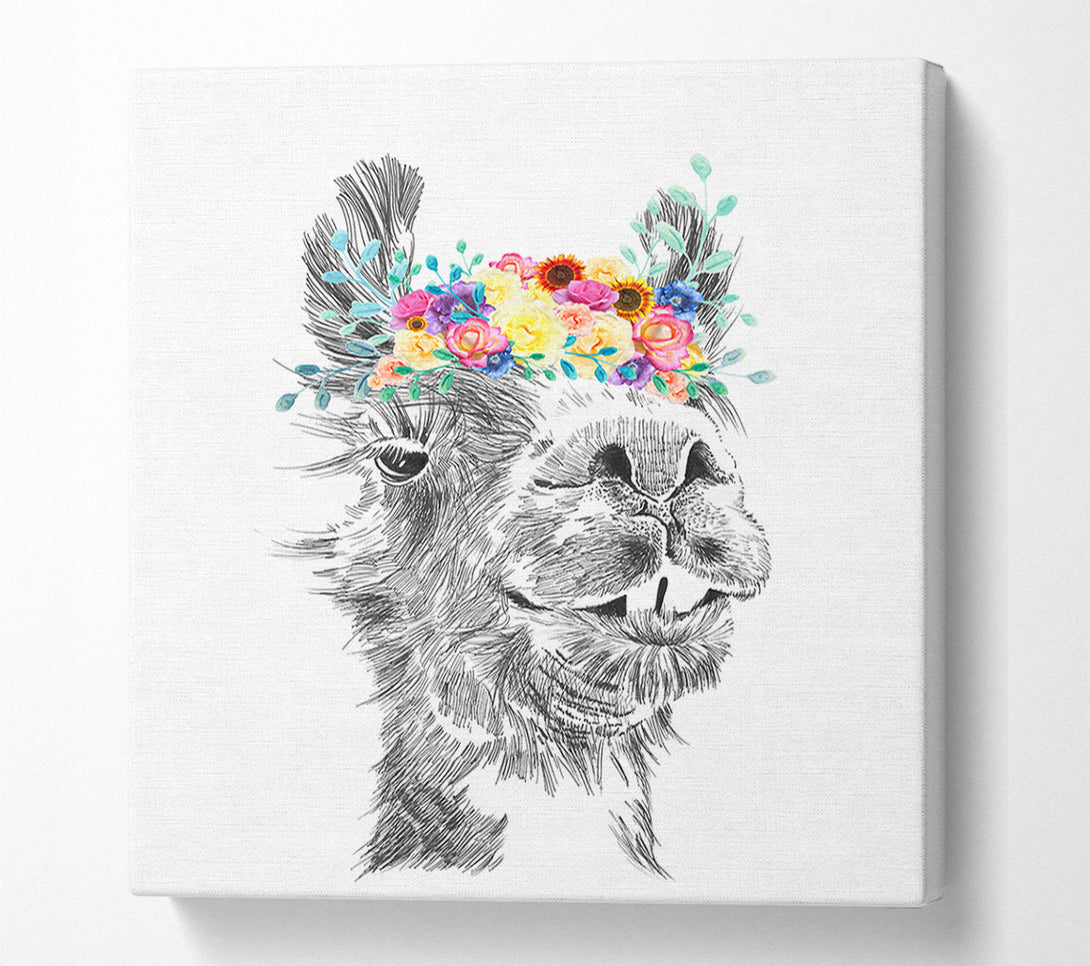  A Canvas Print of The Pretty Camel Canvas Art