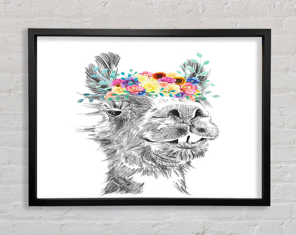 The Pretty Camel Framed Print