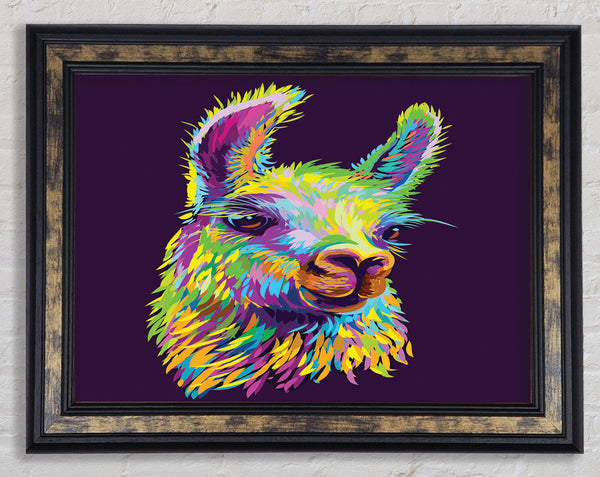 The Llama Head Framed Print