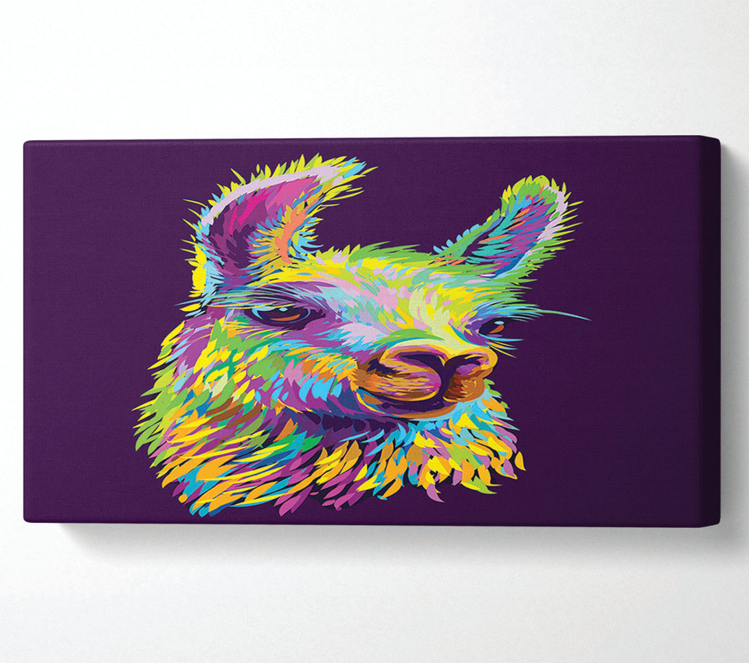  A Canvas Print of The Llama Head Canvas Art