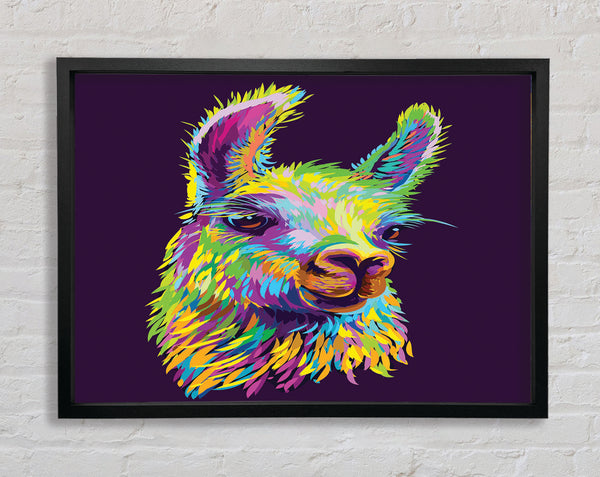 The Llama Head Framed Print