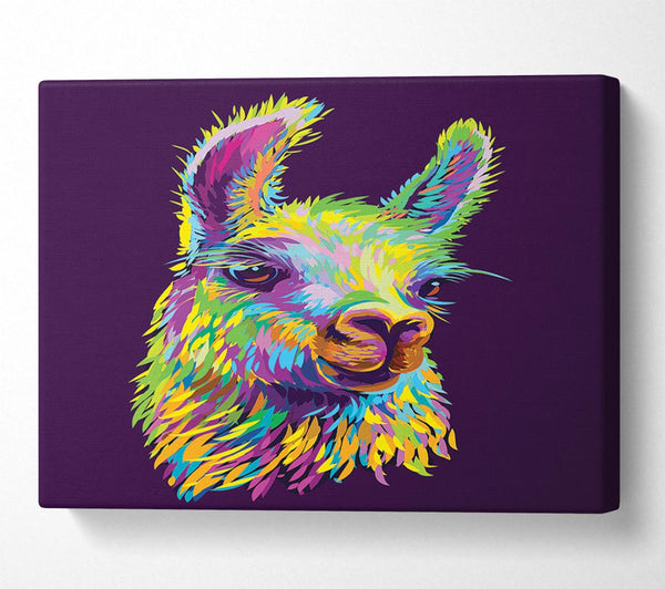  A Canvas Print of The Llama Head Canvas Art