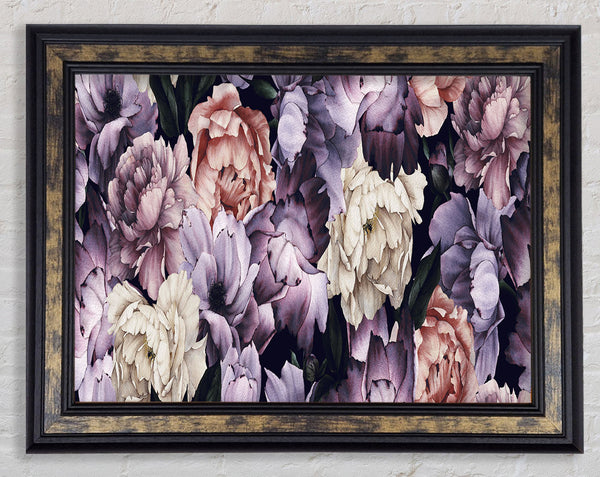 Carnation Petal Cluster Framed Print