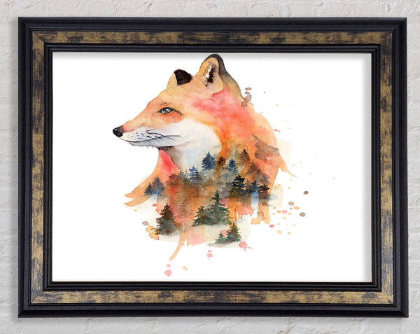 The Fox Woodland Framed Print