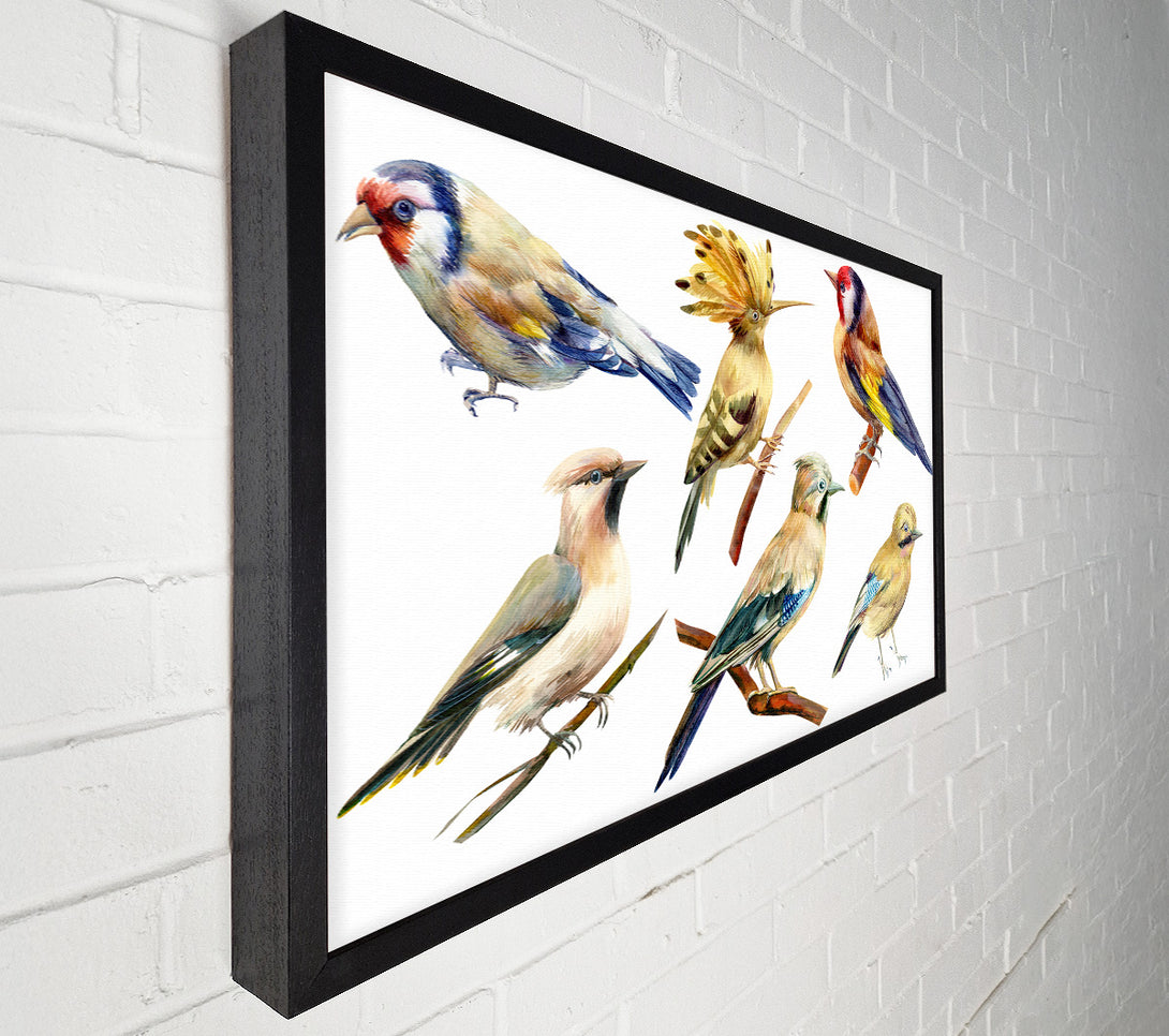  A Canvas Print of Birds Of Beauty 2 Canvas Wall Art