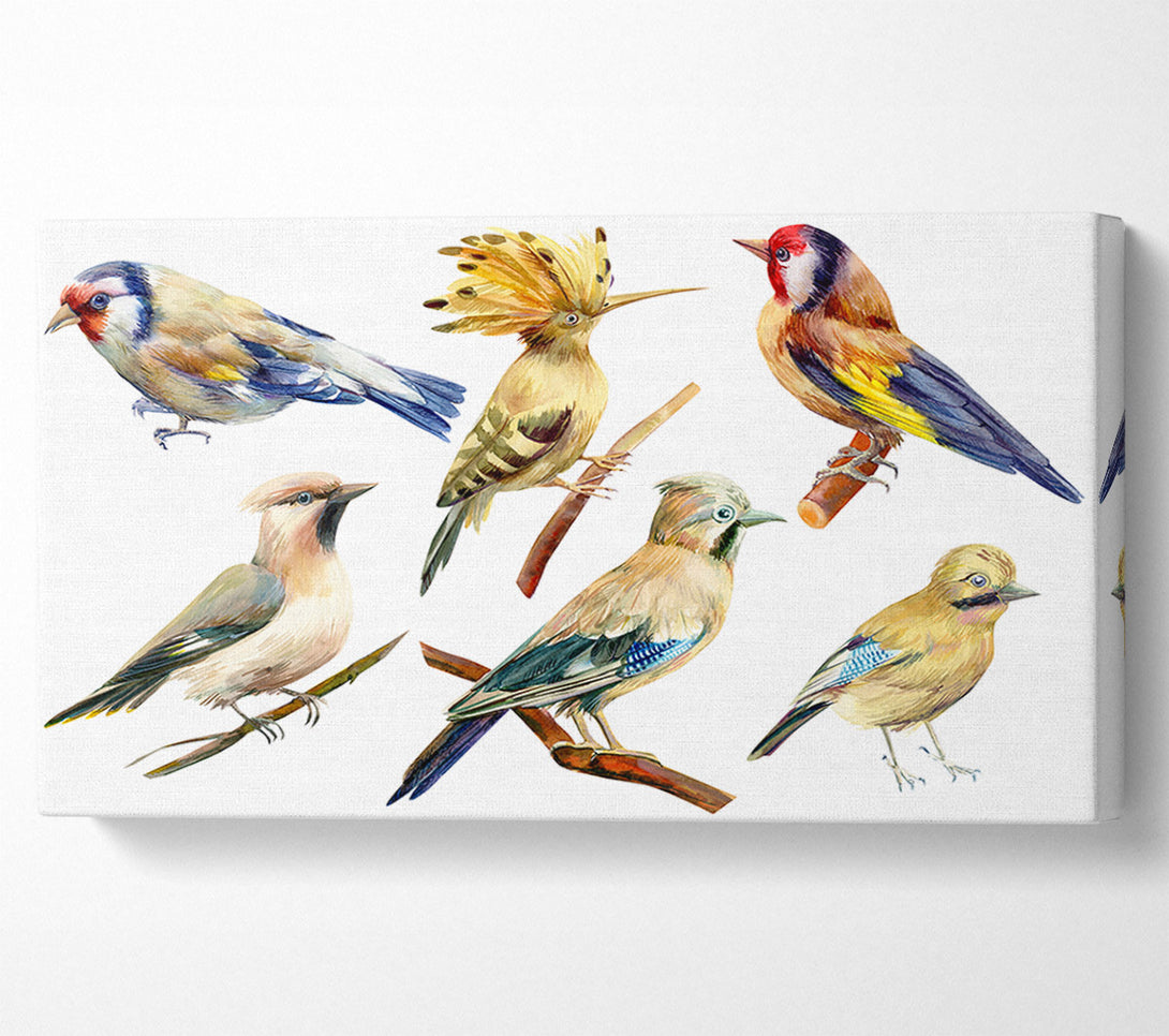  A Canvas Print of Birds Of Beauty 2 Canvas Wall Art