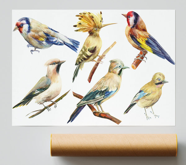 Birds Of Beauty 2 Giclee Print