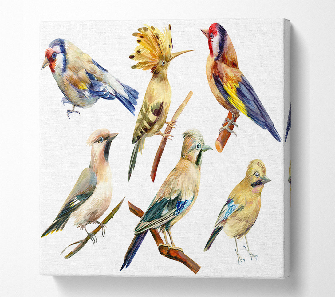  A Canvas Print of Birds Of Beauty 2 Canvas Wall Art