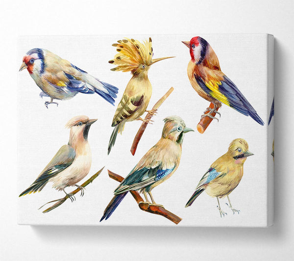  A Canvas Print of Birds Of Beauty 2 Canvas Wall Art