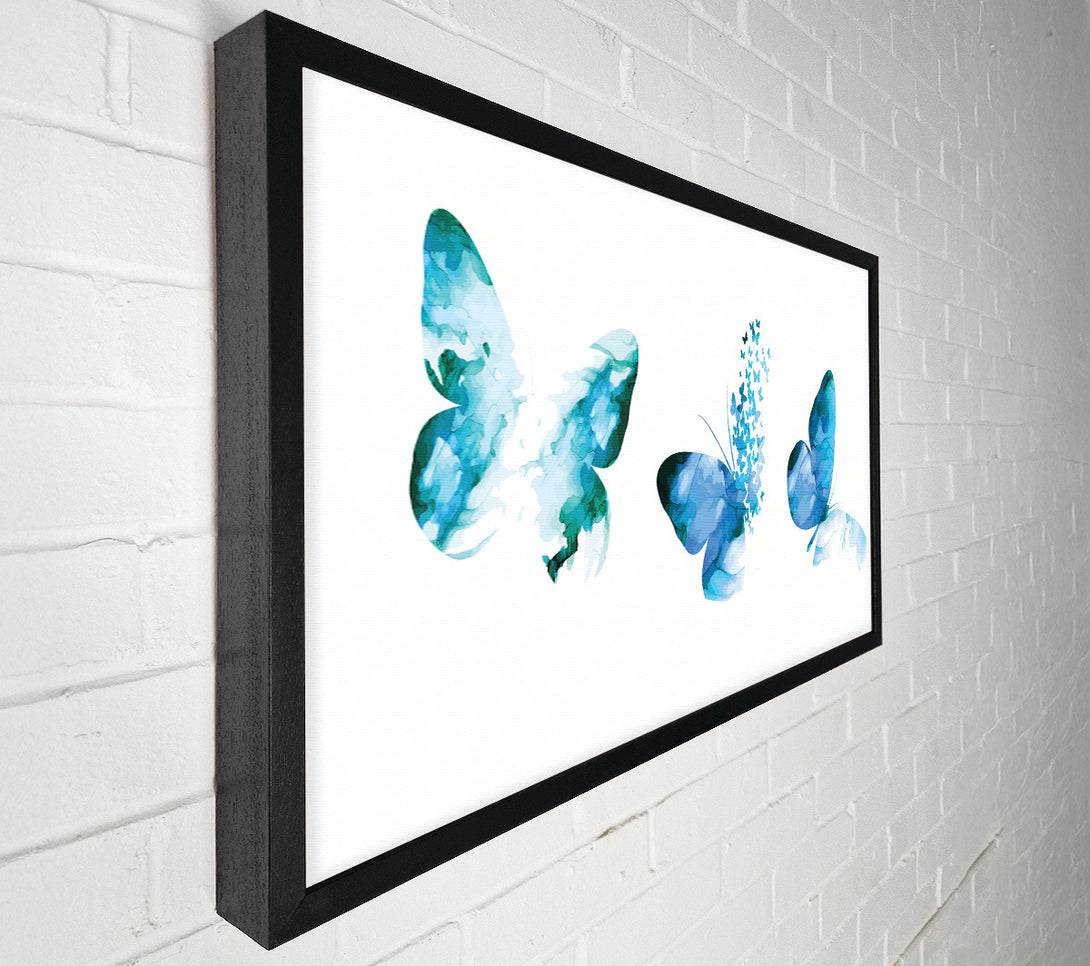  A Canvas Print of A Trio Of Blue Butterflies Canvas Print