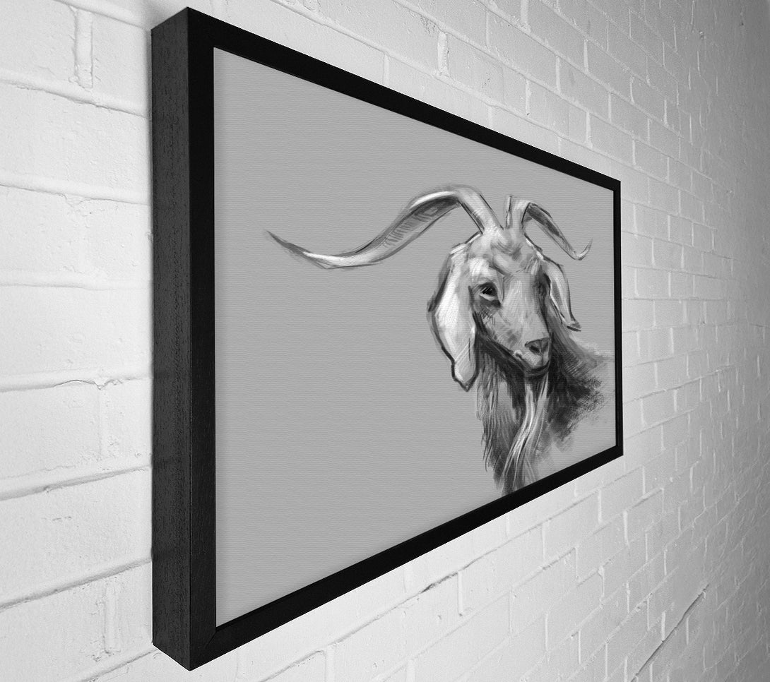  A Canvas Print of The Sketch Goat Canvas Art