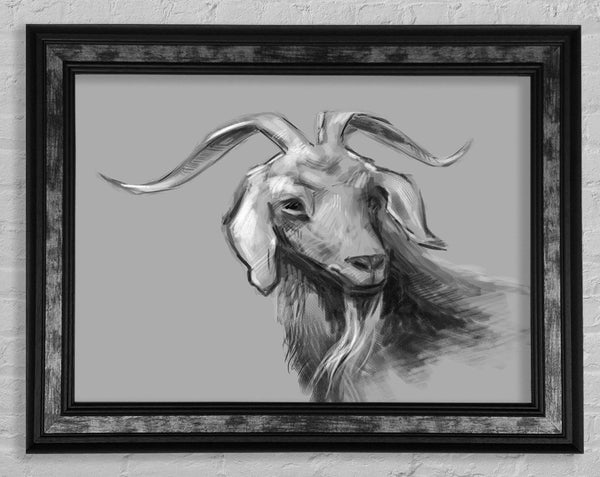 The Sketch Goat Framed Print