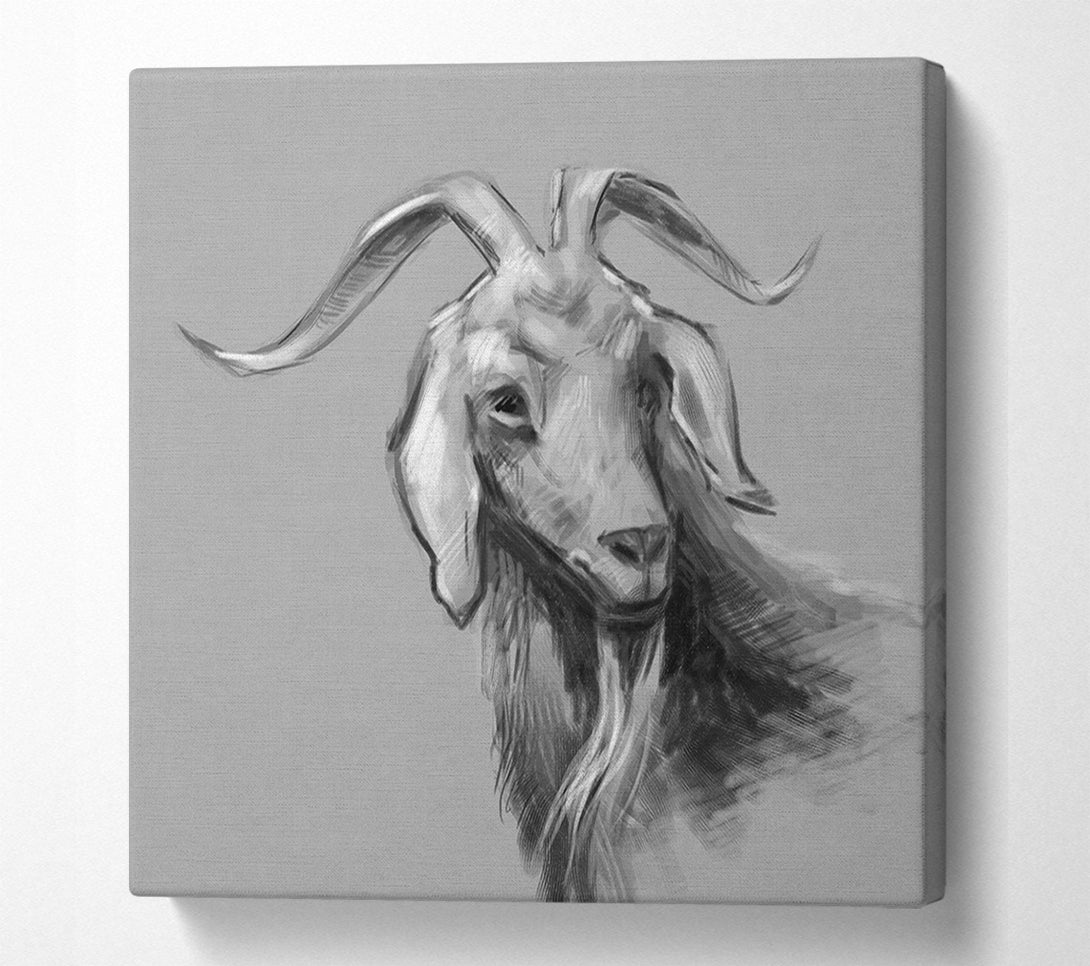  A Canvas Print of The Sketch Goat Canvas Art
