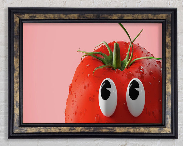 Tomato Stare Framed Print