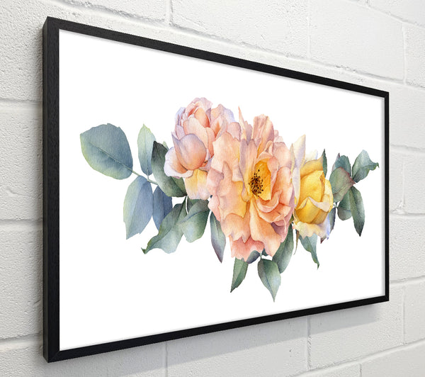 The Blush Pink Rose