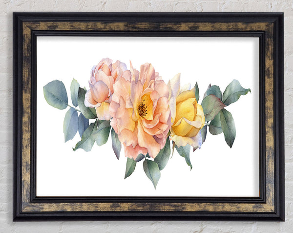 The Blush Pink Rose Framed Print