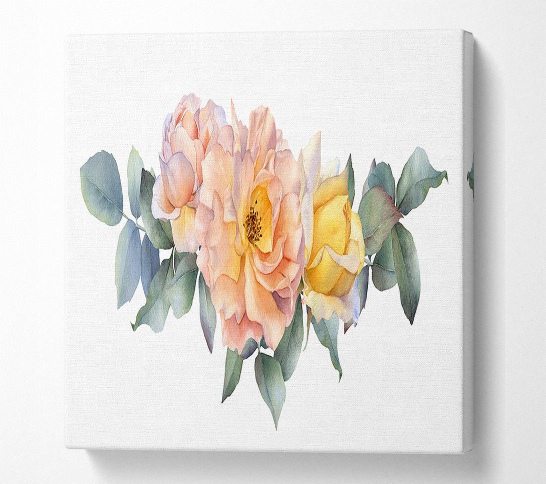  A Canvas Print of The Blush Pink Rose Canvas Art