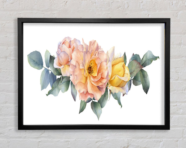 The Blush Pink Rose Framed Print