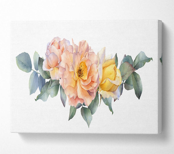  A Canvas Print of The Blush Pink Rose Canvas Art