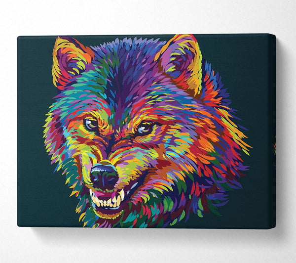  A Canvas Print of Growling Wolf Colour Canvas Print