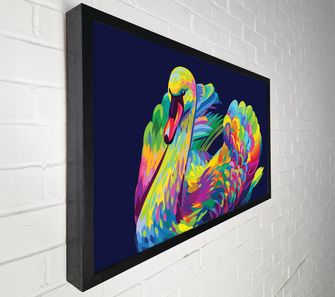  A Canvas Print of The Vibrant Swan Sitting Canvas Print