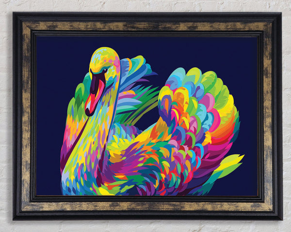 The Vibrant Swan Sitting Framed Print