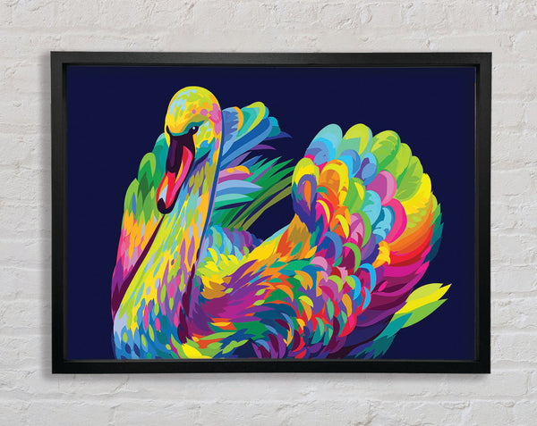 The Vibrant Swan Sitting Framed Print