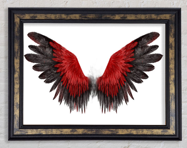 The Read Feathers Of A Bird Framed Print