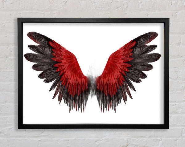The Read Feathers Of A Bird Framed Print