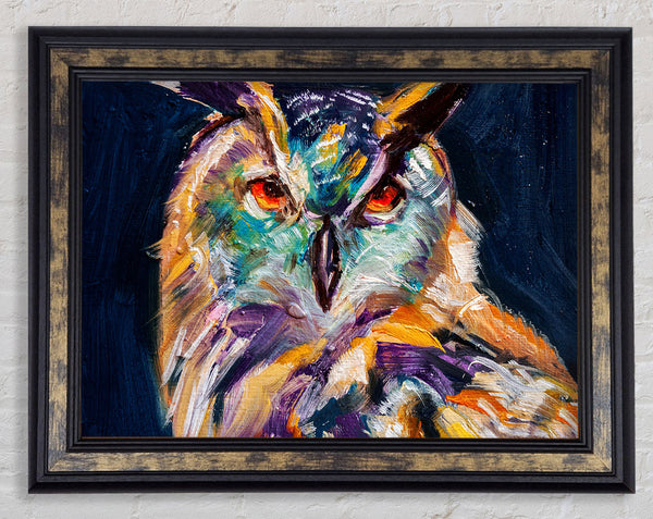 The Vivid Owl Stare Framed Print