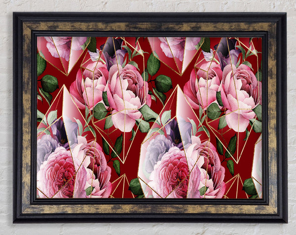Triangulation Of Roses Framed Print