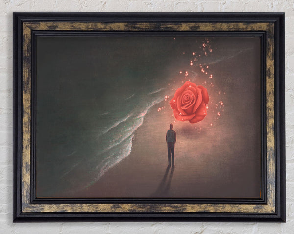The Rose On The Beach Framed Print