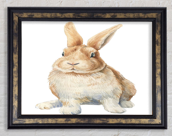 The Cute Little Rabbit Framed Print