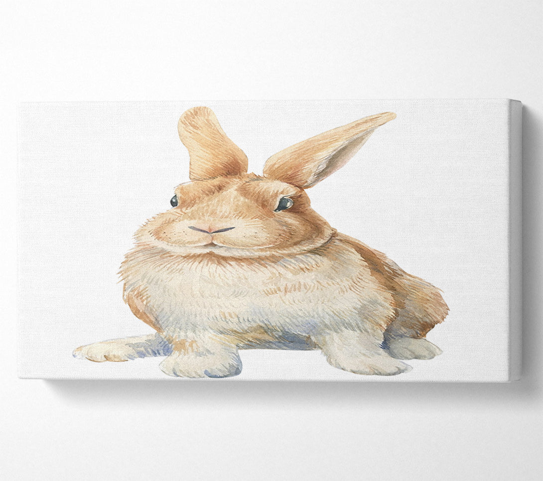  A Canvas Print of The Cute Little Rabbit Canvas Art