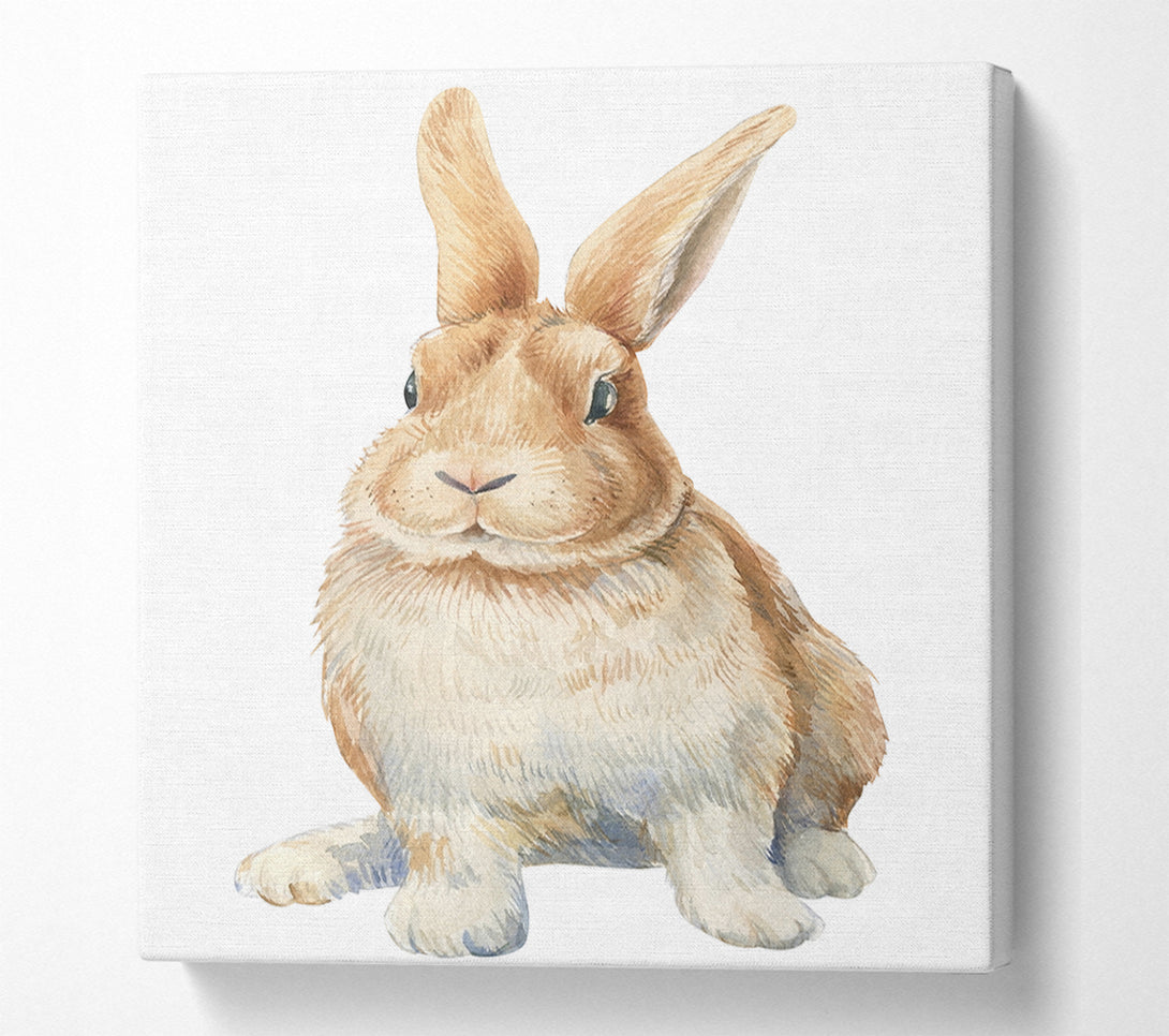  A Canvas Print of The Cute Little Rabbit Canvas Art